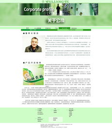 網(wǎng)頁(yè)設(shè)計(jì)模板 高效構(gòu)建專(zhuān)業(yè)網(wǎng)站的關(guān)鍵
